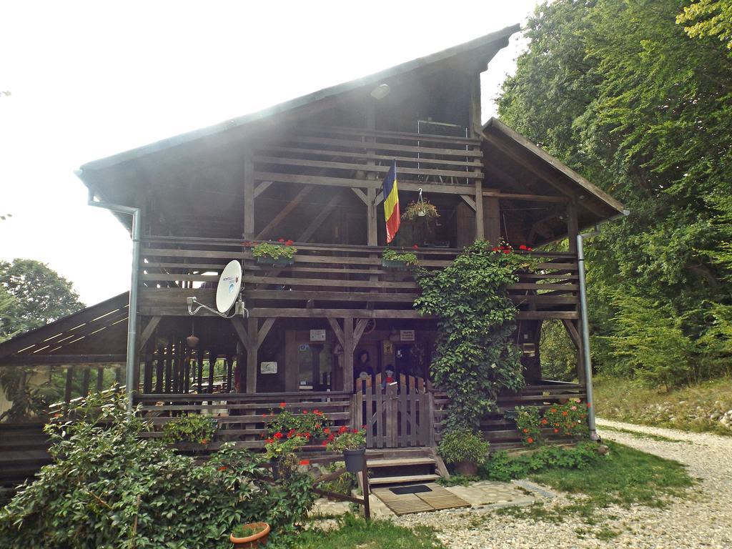 فندق Cabana La Noi Rîşnov المظهر الخارجي الصورة