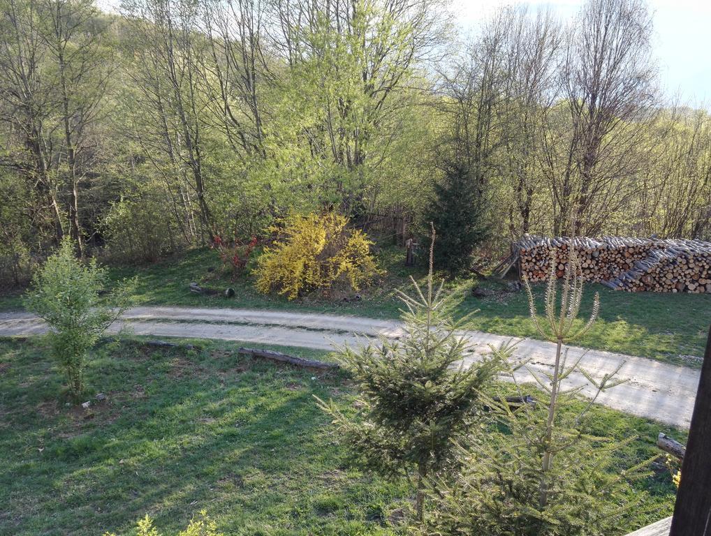 فندق Cabana La Noi Rîşnov المظهر الخارجي الصورة