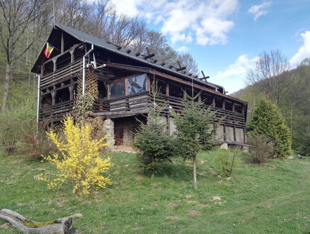 فندق Cabana La Noi Rîşnov المظهر الخارجي الصورة